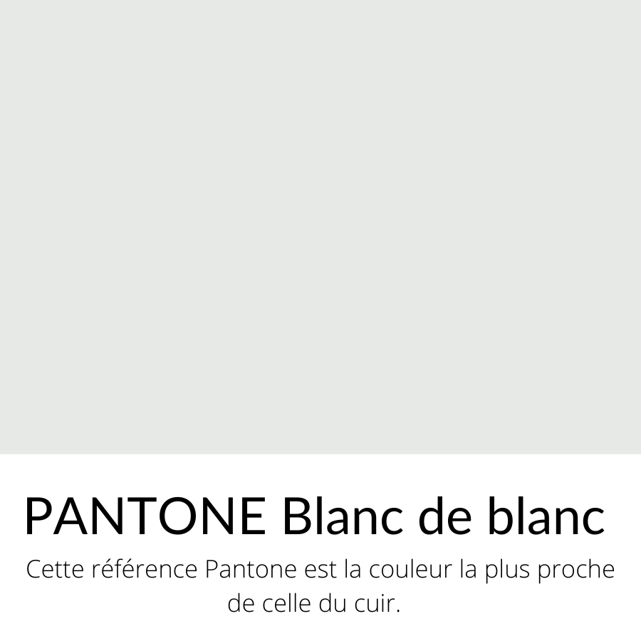  Taffetas  de Soie  Blanc